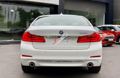 BMW 5 Series 530i Luxury Line 2019 - Bán BMW 530i Luxury Line 2019, màu trắng, nhập khẩu