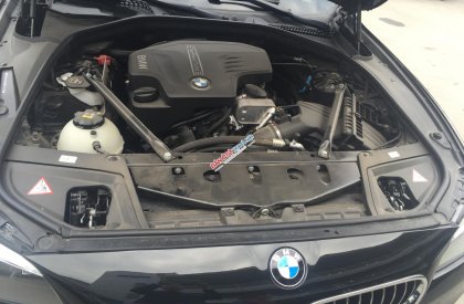 BMW 5 Series 520i 2015 - Cần bán xe BMW 5 series 520i đời 2015 tại Hà Nội