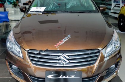 Suzuki Ciaz  1.4 AT 2019 - Bán Suzuki Ciaz 1.4 AT đời 2019, màu nâu, nhập khẩu nguyên chiếc