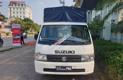Suzuki Super Carry Pro   2019 - Bán Suzuki Super Carry Pro năm sản xuất 2019, màu trắng, nhập khẩu, giá chỉ 318 triệu