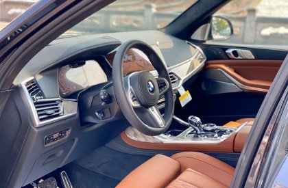 BMW BMW khác X7 xDrive40i  2019 - Bán xe BMW X7 xDrive40i 2019, màu xám, nhập khẩu