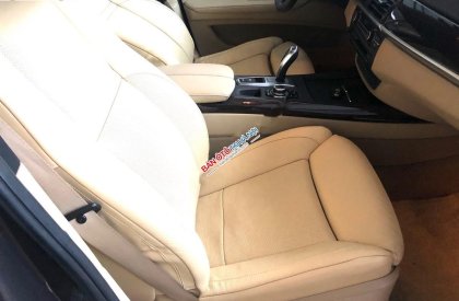 BMW X5   2010 - Bán BMW X5 năm 2010, màu nâu, nhập khẩu nguyên chiếc