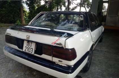 Honda Accord 1990 - Xe Honda Accord đời 1990, màu trắng, nhập khẩu nguyên chiếc chính hãng