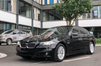 BMW 5 Series 520i 2015 - Bán ô tô BMW 5 Series đời 2015, màu đen, nhập khẩu nguyên chiếc
