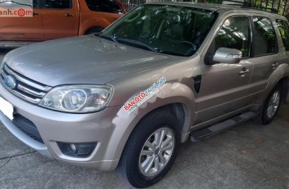 Ford Escape 2010 - Cần bán Ford Escape năm 2010, màu kem (be), chính chủ, giá 398tr