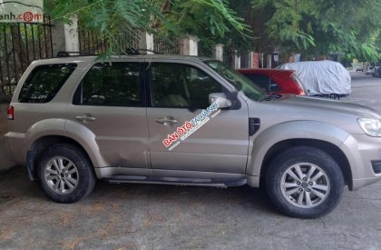 Ford Escape 2010 - Cần bán Ford Escape năm 2010, màu kem (be), chính chủ, giá 398tr