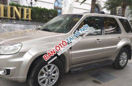 Ford Escape 2008 - Cần bán xe Ford Escape 2.3 AT đời 2008 số tự động