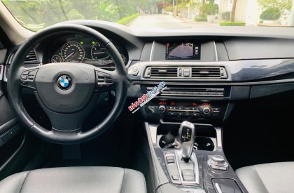 BMW 5 Series 2015 - Bán BMW 5 Series năm 2015, màu nâu, xe nhập