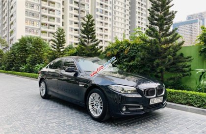 BMW 5 Series 2015 - Bán BMW 5 Series năm 2015, màu nâu, xe nhập