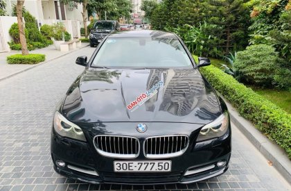 BMW 5 Series 2015 - Bán BMW 5 Series năm 2015, màu nâu, xe nhập