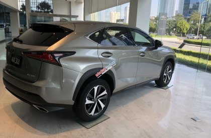 Lexus NX 2019 - Bán giảm giá cuối năm chiếc xe Lexus NX300, sản xuất 2019, màu bạc, nhập khẩu nguyên chiếc