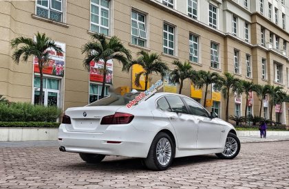 BMW 5 Series 2015 - Bán BMW 5 Series 520i năm 2015, màu trắng, xe nhập