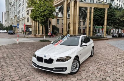 BMW 5 Series 2015 - Cần bán lại xe BMW 5 Series 520i 2015, màu trắng, nhập khẩu nguyên chiếc