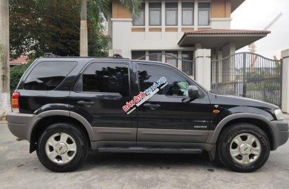Ford Escape     2005 - Xe Ford Escape năm sản xuất 2005