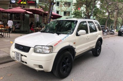 Ford Escape 2003 - Bán Ford Escape đời 2003, màu trắng