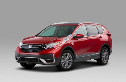 Honda CR V L 2020 - Cần bán xe Honda CR V L đời 2020, màu đỏ, nhập khẩu nguyên chiếc