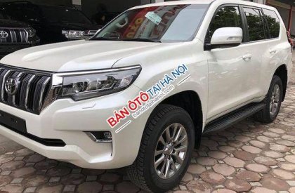 Toyota Prado VX 2018 - Toyota Thái Hòa - Bán Toyota Prado VX đời 2019, màu trắng, xe nhập