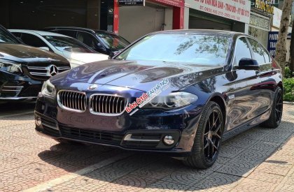BMW 5 Series 2016 - Bán BMW 5 Series 2016, màu xanh lam, xe nhập