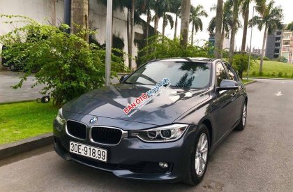 BMW 3 Series  320i  2013 - Bán BMW 3 Series 320i sản xuất năm 2013