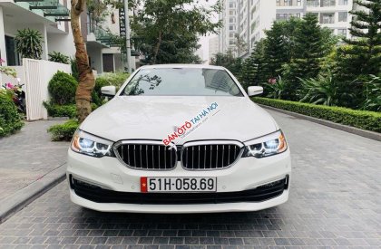 BMW 5 Series  520i  2019 - Bán ô tô BMW 5 Series 520i đời 2019, màu trắng, nhập khẩu