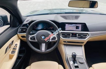 BMW 3 Series 330i 2019 - Bán ô tô BMW 330i đời 2019, màu xám, nhập khẩu