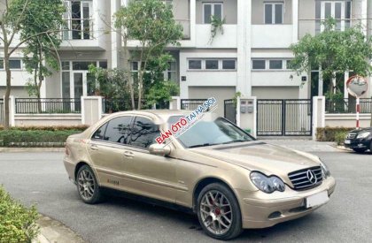 Mercedes-Benz C class 2002 - Cần bán Mercedes C200 đời 2002, màu ghi vàng xe gia đình