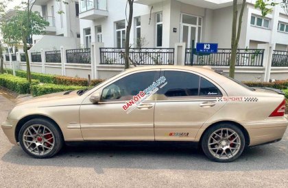 Mercedes-Benz C class 2002 - Cần bán Mercedes C200 đời 2002, màu ghi vàng xe gia đình