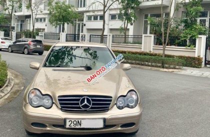 Mercedes-Benz C class 2002 - Cần bán Mercedes C200 đời 2002, màu ghi vàng xe gia đình