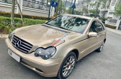 Mercedes-Benz C class 2002 - Cần bán Mercedes C200 đời 2002, màu ghi vàng xe gia đình