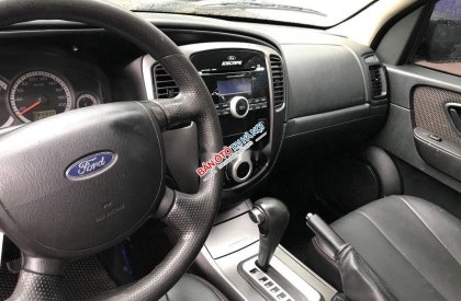 Ford Escape   2010 - Bán xe cũ Ford Escape sản xuất 2010, màu đen
