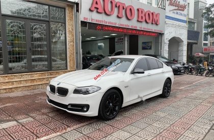 BMW 5 Series 2016 - Cần bán lại xe BMW 5 Series 520i sản xuất 2016, màu trắng, nhập khẩu nguyên chiếc