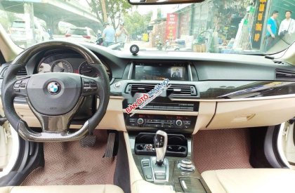 BMW 5 Series 2011 - Xe BMW 5 Series 523i sản xuất 2011, nhập khẩu nguyên chiếc