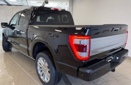 Ford F 150 Limited 2023 - Cần bán Ford F 150 Limited 2023, màu đen, xe nhập Mỹ