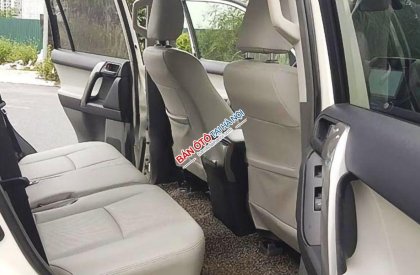 Toyota Prado   TXL 2010 - Cần bán xe Toyota Prado TXL sản xuất năm 2010, màu trắng 