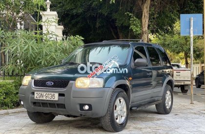 Ford Escape 2002 - Bán Ford Escape năm sản xuất 2002, giá chỉ 148 triệu