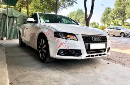 Audi A4 2010 - Bán Audi A4 năm 2010, màu trắng, nhập khẩu