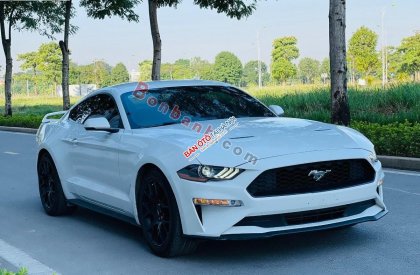 Ford Mustang Premium Fastback   2019 - Cần bán Ford Mustang Premium Fastback đời 2019, màu trắng, nhập khẩu