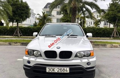 BMW X5     2004 - Cần bán BMW X5 đời 2004, màu bạc, nhập khẩu nguyên chiếc  
