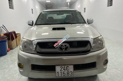 Toyota Hilux 2009 - Cần bán xe Toyota Hilux sản xuất năm 2009, màu bạc, nhập khẩu nguyên chiếc 