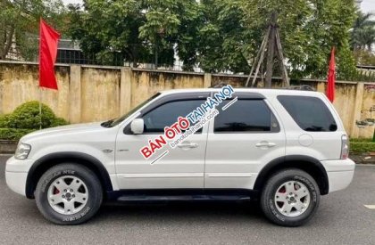 Ford Escape AT 2004 - Bán ô tô Ford Escape AT sản xuất năm 2004, màu trắng số tự động