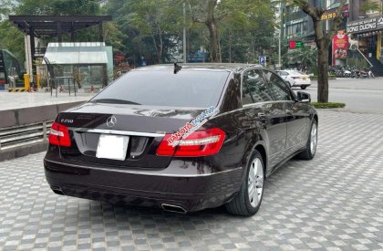 Mercedes-Benz E250 2012 - Bán Mercedes E250 năm sản xuất 2012, màu nâu, 699 triệu