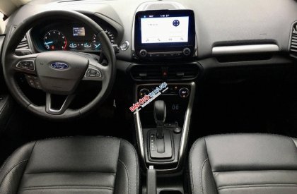 Ford EcoSport 2020 - Màu nâu