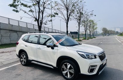 Subaru Forester 2019 - Xe nhập