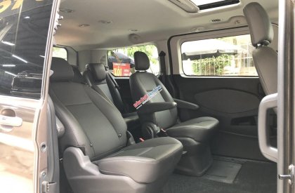 Ford Tourneo 2019 - Số tự động, màu nâu