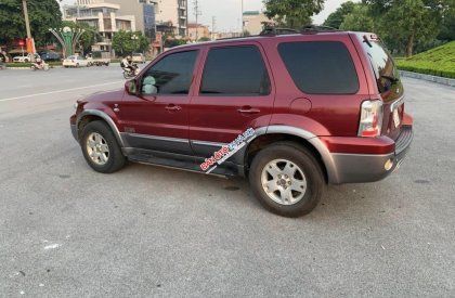 Ford Escape 2004 - Máy số chất lừ