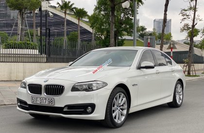 BMW 528i 2015 - Đăng ký 2015, chính chủ, giá 1 tỷ 289tr
