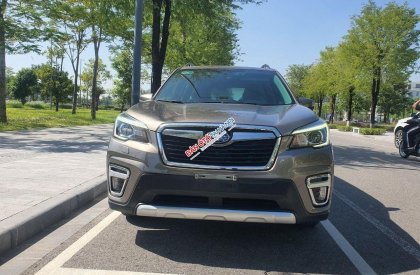 Subaru Forester 2019 - Nhập Thái Lan, bản cao cấp nhất