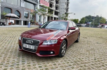 Audi A4 2010 - Xe màu đỏ