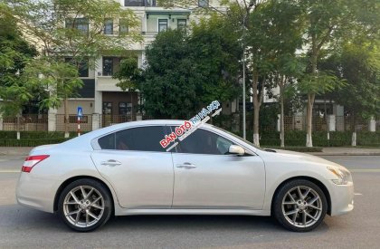 Nissan Maxima 2011 - Xe màu bạc giá cạnh tranh