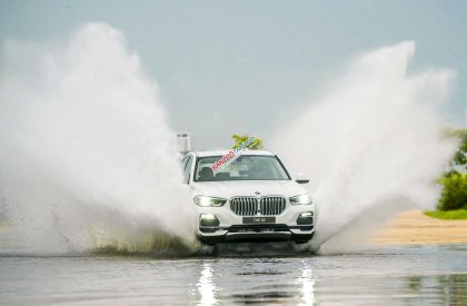 BMW X5 2022 - Dòng xe SUV 7 chỗ